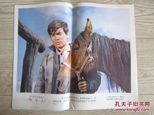洛宁高中毕业证学号